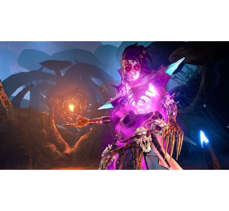 Playstation 4 - Tiny Tina's Wonderlands