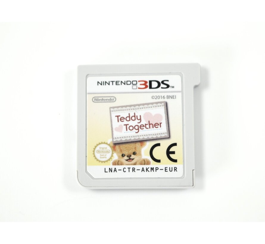 Nintendo DS - Teddy Together