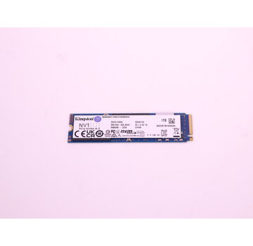 Kingston Technology NV1 M.2 NVMe 1TB (Tweedekansje)
