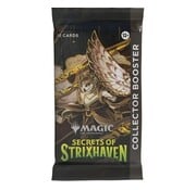 Magic The Gathering Secrets of Strixhaven Collector Booster
