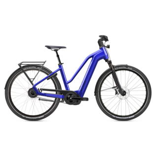 Flyer E-Bike Gotour