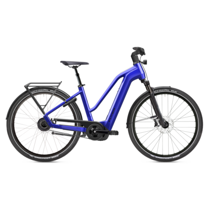 Flyer E-Bike Gotour