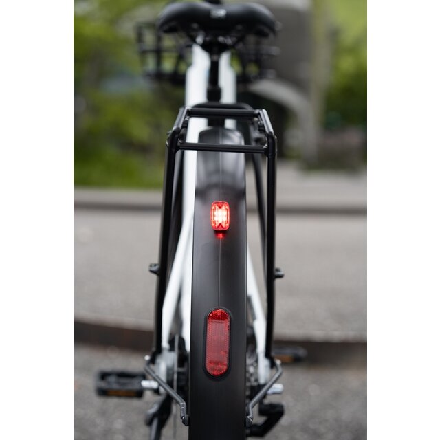 Flyer Gotour EL 3.20