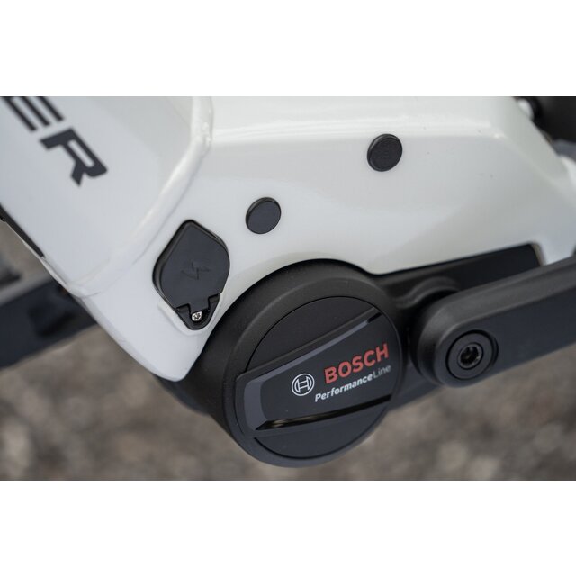 Flyer Gotour EL 3.20