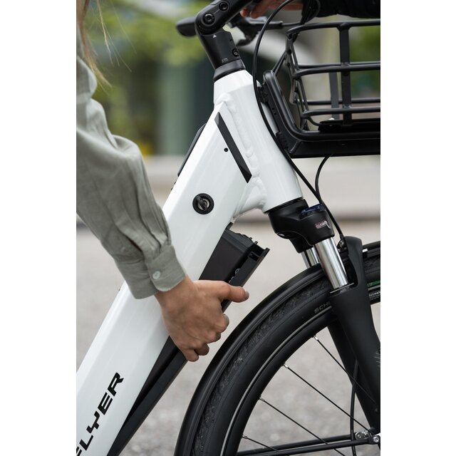 Flyer Gotour EL 3.20