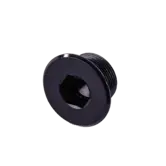 Flyer / PINION Kurbelmutter Center