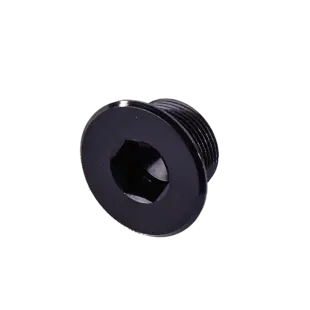 Flyer / PINION Kurbelmutter Center