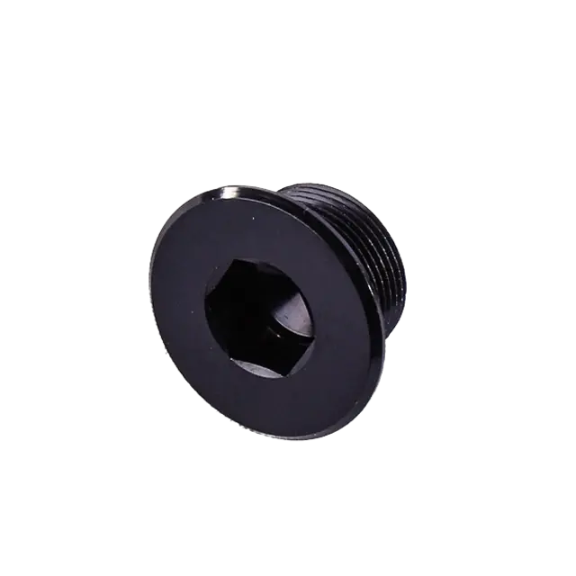 Flyer / PINION Kurbelmutter Center