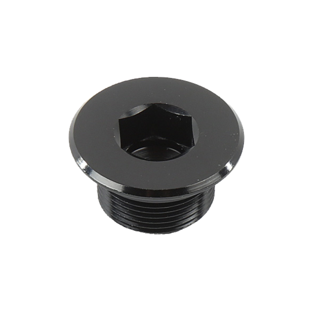 Flyer / PINION Kurbelmutter Center