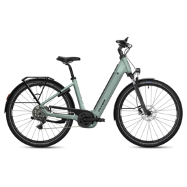 Flyer Gotour 5.10 - 800 Wh