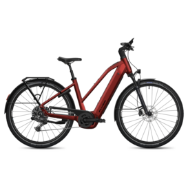 Flyer Gotour 7.10 - 800 Wh
