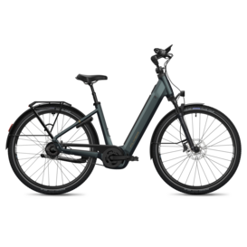 Flyer Gotour 7.43 - 800 Wh