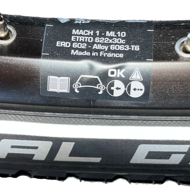 FLYER Hinterrad 29 zoll Nexus5 Mach1 Trucky