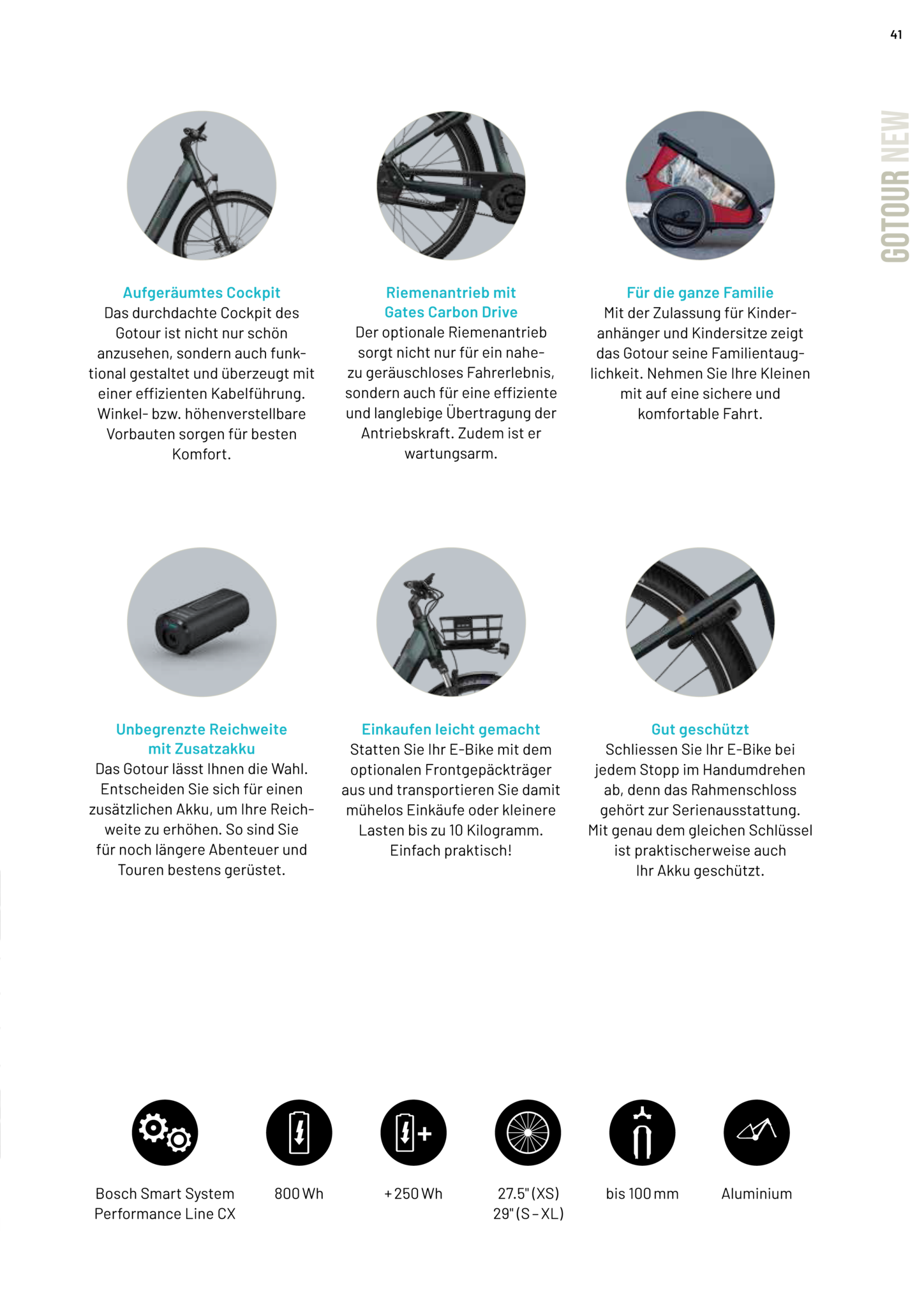 Flyer Gotour - 800 Wh (NEW)