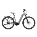 FLYER Flyer Gotour 6 5.40 625Wh Cast Silver Gloss XL.