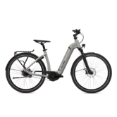 Flyer Gotour 6 5.40 625Wh Cast Silver Gloss XL.