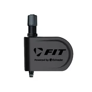 REIFENDRUCKSENSOR FIT AV-SCHRADER 1STK.