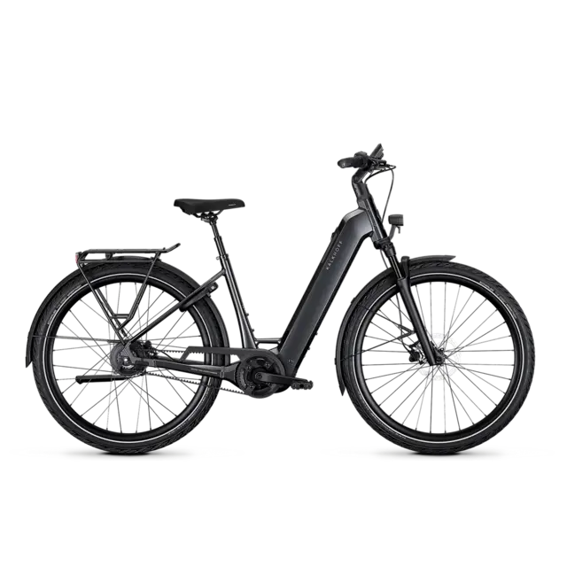 Kalkhoff Image 3 Excite 380 Wave