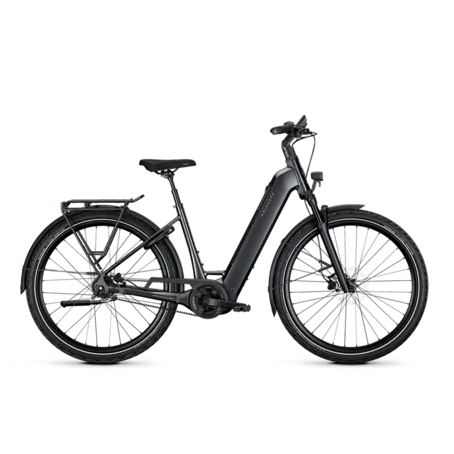 Kalkhoff Image 3 Excite Wave