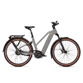 Kalkhoff Entice 5+ Advance Belt Trapez