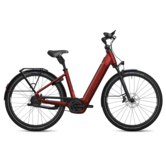 Flyer G2 Gotour 5.23 - 800 Wh