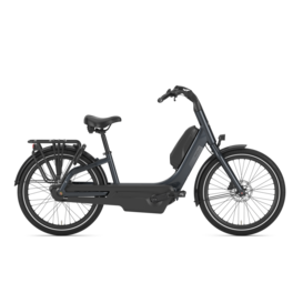 Gazelle Easyflow C8