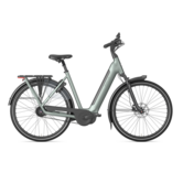 Gazelle Grenoble C5+ First Edition Low-Step