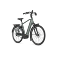 Gazelle Grenoble C5+ First Edition High-Step