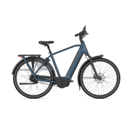 Gazelle Grenoble C310 High-Step