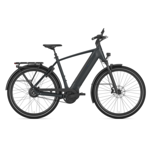 Gazelle Ultimate C380 High-Step