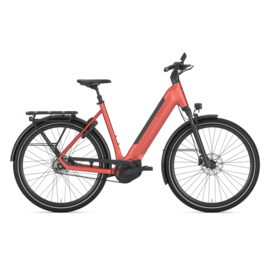 Gazelle Ultimate C5+ Low-Step