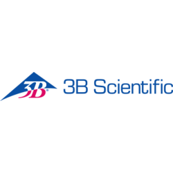 3B