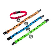 Armband hond nylon