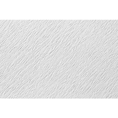 Traypapier Touch of colors wit