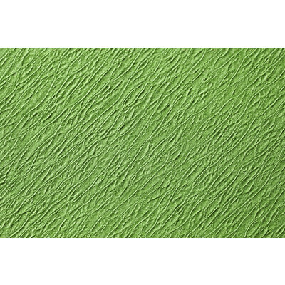 Traypapier Touch of colors fresh green