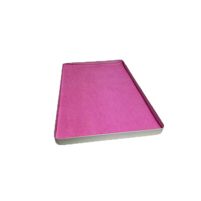 Instrumententray Zilver (28 x 18 cm)