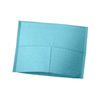 Hoofdsteunzakken Ice Blue, 25 x 33 cm