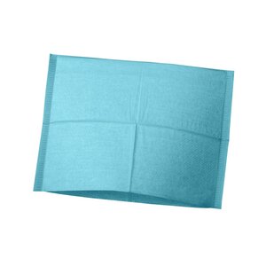 Hoofdsteunzakken Ice Blue, 25 x 33 cm