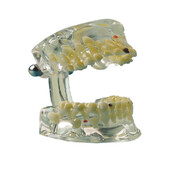 Hager Werken Transparant demomodel kind