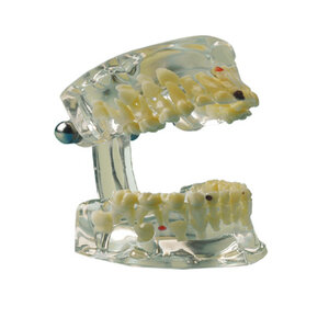 Hager Werken Transparant demomodel kind