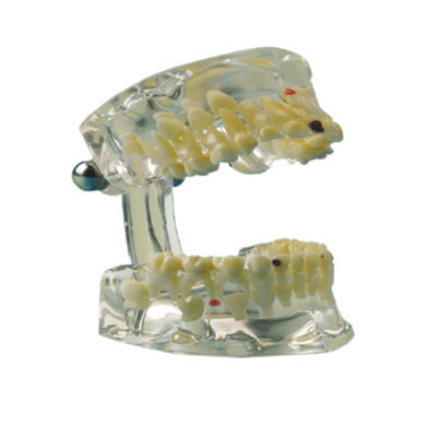 Hager Werken Transparant demomodel kind