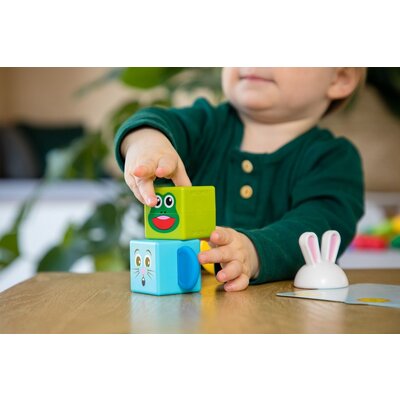 Smartmax My First Totem Set