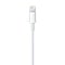 Apple Apple Lightning Naar USB Kabel - 2M - Bulk