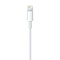 Apple Apple Lightning to USB Kabel - 2M - Bulk