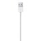 Apple Apple Lightning Naar USB Kabel - 2M - Bulk