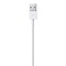 Apple Apple  Lightning to USB Cable - 1M - Bulk