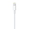 Apple Apple  Lightning naar USB Kabel - 1M - Bulk