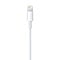 Apple Apple Lightning auf USB Kabel - 1M - Blister Pack