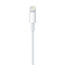 Apple Apple Lightning to USB Cable - 1M - Blister Pack