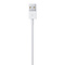 Apple Apple Lightning Naar USB Kabel - 1M - Blister Pack